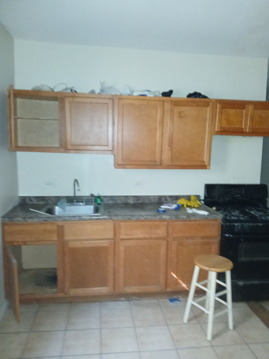 Existing kitchen cabinets and finishes
